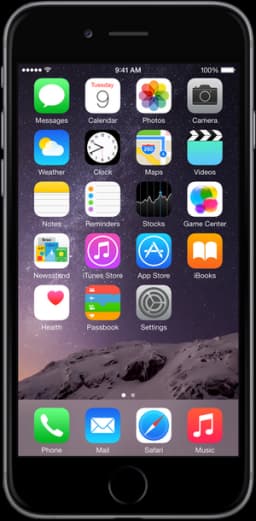 iPhone 6