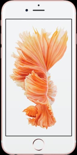 iPhone 6S