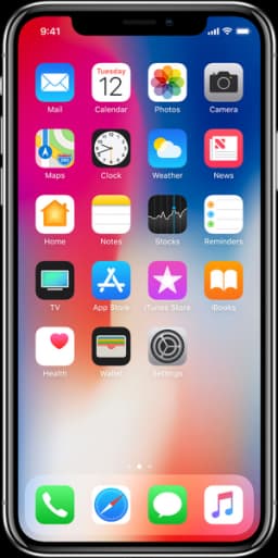 iPhone X